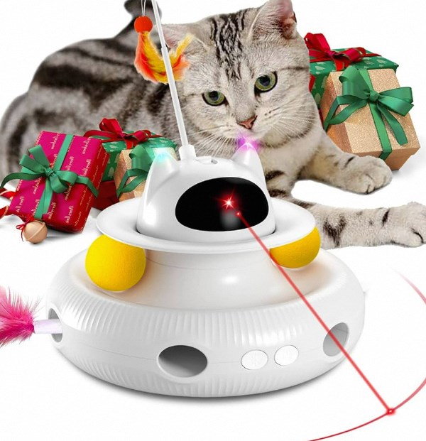 interactive cat toy