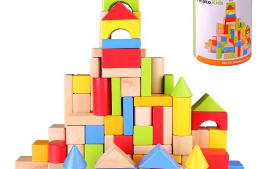 Building block toys