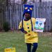 pete the cat book