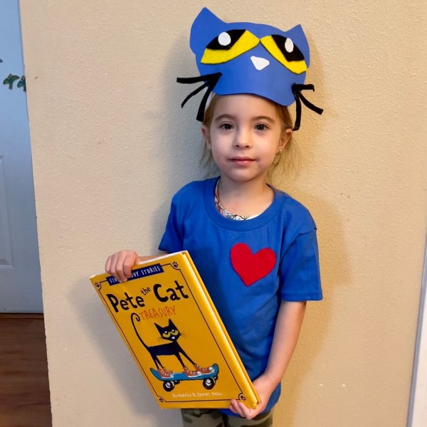 pete the cat book